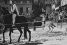 Palio Straordinario: la fotogallery della seconda prova